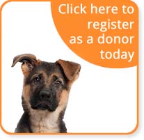 register as dog blood donor