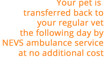 NEVS Ambulance Message